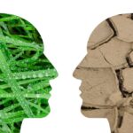 Como Eliminar a Mentalidade de Escassez? Antes de mais nada, vamos direto ao ponto: a mentalidade de escassez é como um peso invisível que carregamos nas costas.